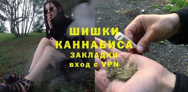 PSILOCYBIN Лабытнанги