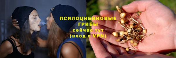 PSILOCYBIN Лиски