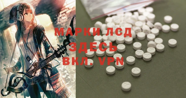 PSILOCYBIN Лабытнанги