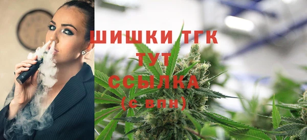 PSILOCYBIN Лабытнанги