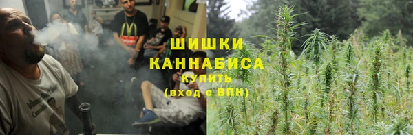 ПСИЛОЦИБИНОВЫЕ ГРИБЫ Лагань