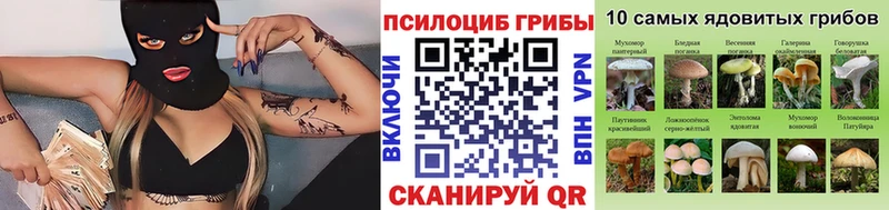 Галлюциногенные грибы Psilocybine cubensis  Лебедянь 